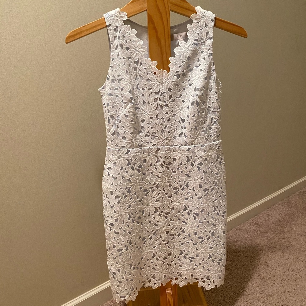 NWT Loft dress